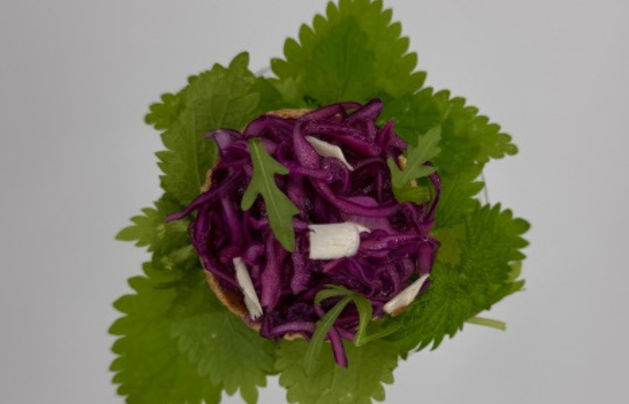 Cavolo viola